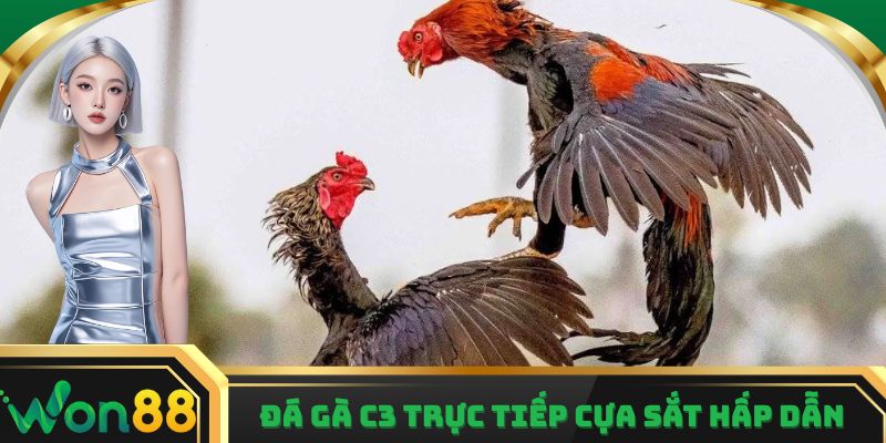 Thể thức cựa sắt phân định kết quả vô cùng nhanh