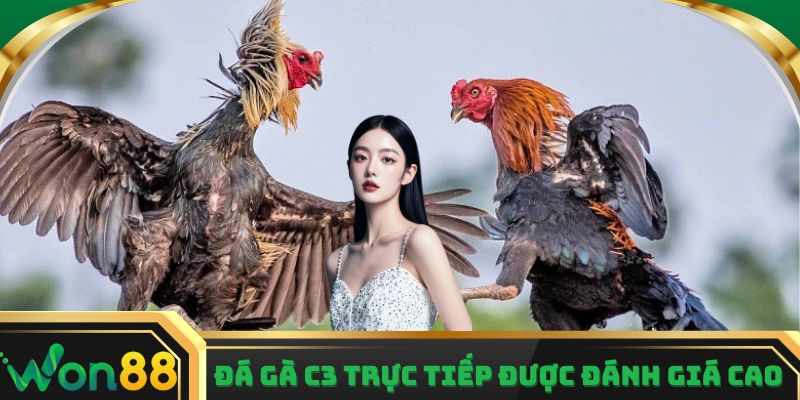 Đá gà C3 trực tiếp được đánh giá cao hơn các bồ còn lại