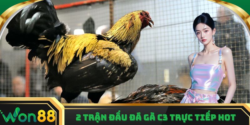 Giới thiệu hai trận đấu được người hâm mộ chia sẻ rầm rộ