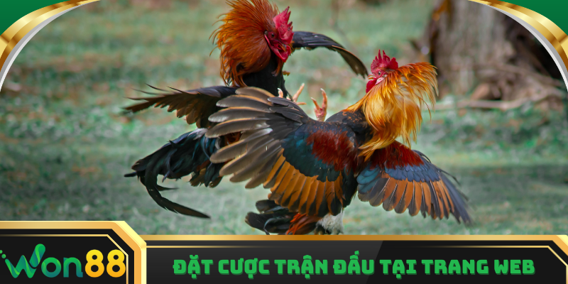 Đặt cược ngay trên trang web siêu tiện lợi