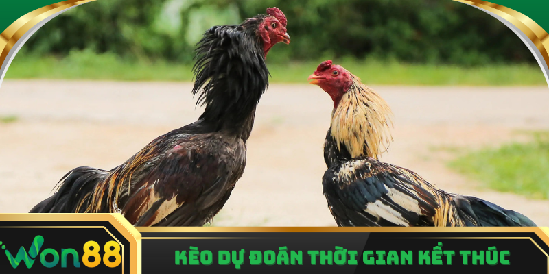 Dự đoán về thời gian cuộc đấu kết thúc chuẩn