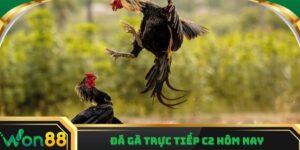 đá gà trực tiếp c2