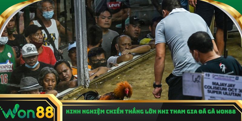 Kinh nghiệm chiến thắng lớn khi tham gia đá gà Won88