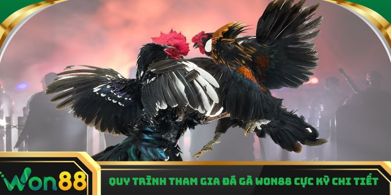 Quy trình tham gia đá gà Won88 cực kỳ chi tiết